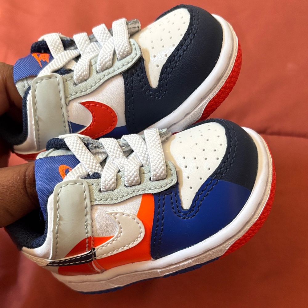 Nike dunk ' Multi-Color Sneakers